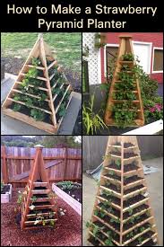 How To Make A Strawberry Pyramid Planter Want To Grow Strawberries Then This Project Is For You In 2020 Garden Projects Diy Backyard Diy Garden
