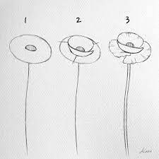 Learn how to draw a pretty hibiscus flower easy, step by step drawing lesson tutorial. How To Draw Flowers Step By Step For Beginners Beginners Flowers New Blumen Zeichnen Blumen Zeichnung Blumenzeichnung