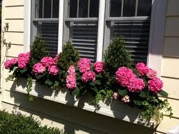Check spelling or type a new query. May Need To Do This With Fake Geraniums In My Newly Installed Window Boxes Rather Than Spend On Ann Window Box Flowers Fake Plants Decor Front Yard Flowers