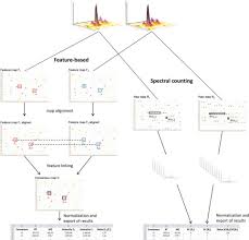 Learn how to hack facebook, now is easy and free, without programs. Tools For Label Free Peptide Quantification Molecular Cellular Proteomics