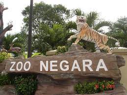 We did not find results for: Zoo Negara Kuala Lumpur Abc Cba Flickr