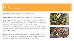 Asexual reproduction results in a clone of the parent, meaning the one way for an asexually reproducing species to get diversity is through mutations at the dna level. Cacti And Giraffes Ppt Download