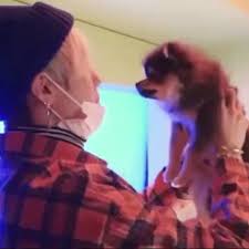 wiktoria on twitter when yeontan peed on the bed at the set of daydream and yoongi scolded him in cutes way possible 3 yoongi suga daydream