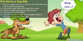 Pulsing blood should be taken very seriously. Cleaning Dog Bite Wound Www Macj Com Br