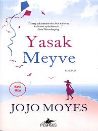 Pastel boyanyn resimden dokulmesini engelleyen sprey. Jojo Moyes Yasak Meyve