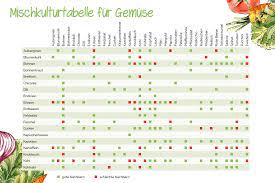 In unserem permakultur biogarten säen und pflanzen wir nicht nur innerhalb. Mischkulturtabelle Fur Gemuse Diese Gemusesorten Vertragen Sich