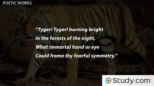 How Does William Blake Link With The Novel Skellig Study Com