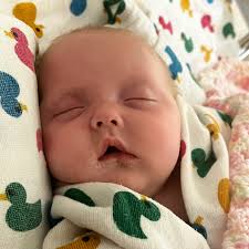 Fundraiser by Stephen Easter : Help support Willows current surgical  journey and family