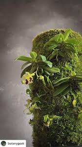 Lindy Jackson (lindyjackson58)