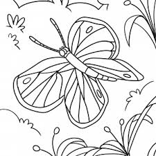 Kleiner Schmetterling Zum Ausmalen Zum Ausmalen De