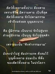 ป กพ นโดย noppamart ngokphon ใน ม คคาน คา พระพ ทธเจ า กรรม