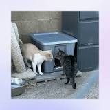 Cómo crear un refugio comunitario para gatos - El Paso Animal ...