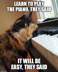 Image Tagged In Piano Lesson Learning Easy I Give Up Imgflip