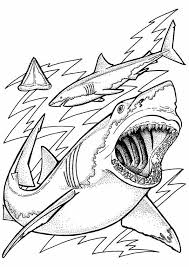 Print Coloring Image Momjunction Shark Coloring Pages Ocean Coloring Pages Coloring Pages For Kids