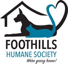 Areas mountain pet rescue asheville serves. Foothills Foothills Humane Society