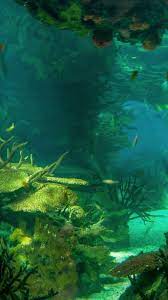 2018 Wallpaper Hd Android Iphone Wallpaper Deep Sea Android Wallpaper Check More At Https Phonewallp Com 2 Underwater Photography Fantasy Landscape Landscape