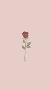 Rose Samira Krasniqi Krasniqi Rose Samira Aesthetic Iphone Wallpaper Lock Screen Krasniqi In 2020 Rose Wallpaper Locked Wallpaper Aesthetic Iphone Wallpaper