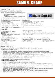 how professional cv template 2018 could