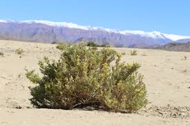 Image result for Hertia