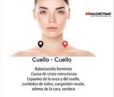 Esther Olvera (eolvera1158)