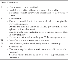 Table 1.classification of nerve injury. Roles Of Neural Stem Cells In The Repair Of Peripheral Nerve Injury Wang C Lu Cf Peng J Hu Cd Wang Y Neural Regen Res