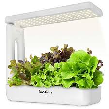 Grow lights can be used for houseplants that need bright light, which is not always available in every home (or in any home during the dark days of winter). The 18 Best Grow Lights For Your Plants
