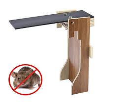 Place a 5 us gal (19 l) bucket outside your home, in a barn, or in a garage. Cheap Mouse Bucket Find Mouse Bucket Deals On Line At Alibaba Com