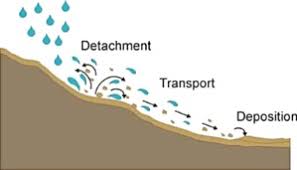 We did not find results for: Sediment Transport An Overview Sciencedirect Topics