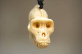 Replica Miniature Mammal Skull Ornament- Giraffe, Hippopotamus, Rhinoceros,  Gorilla