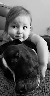 Puppy 8-week check-up update