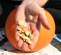 Kabocha is a type of winter squash, a japanese variety of the species cucurbita maxima. Pumpkin Seed Wikipedia