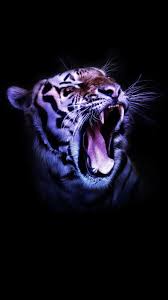 Black and gray wall, 4k wallpaper, architecture, background, brick. Hd 4k Tiger Wallpapers For Mobile