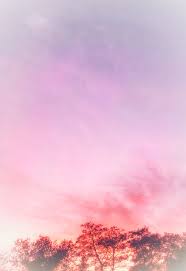 Sunsets Justyourstargirl Pink Sunset Sunset Wallpaper Pink Sky
