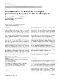 Early anthropogenic soil formation 731. Pdf Microclimate Affects Soil Chemical And Mineralogical Properties Of Cold Alpine Soils Of The Altai Mountains Russia Sofia Lessovaia Academia Edu
