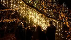 Watering can has solar powered fairy lights that will automatically turn on at night. Lichterketten Fur Den Garten Welche Eignen Sich Fur Draussen Ndr De Ratgeber Garten