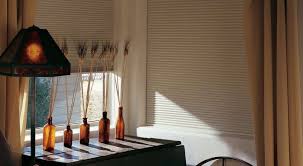 4.6 out of 5 stars. The Difference Between Hunter Douglas Applause And Duette