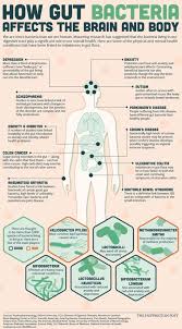 How Gut Bacteria Affects The Brain And Body Infographic Daily Infographic Gut Health Holistic Health Body Health