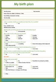 Birth Plan Template 20 Download Free Documents In Pdf Word Birth Plan Template Birth Plan Printable Birth Plan