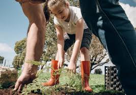 Portalimizda banklarning barcha kredit takliflari bilan tanishib, kredit rasmiylashtirish uchun ariza qoldirishingiz. Tutgutkredit L Privatkredit Braunschweig Wolfsburg L Volksbank Brawo