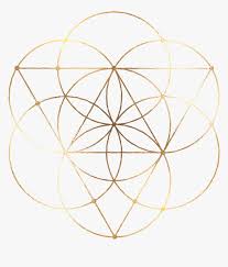 Check spelling or type a new query. Transparent Gold Flower Png Geometric Circle Sacred Geometry Png Download Transparent Png Image Pngitem