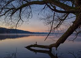 Rund um den pilsensee liegen. Natur In Der Gemeinde Der Pilsensee Als Freizeitsee Grune Seefeld
