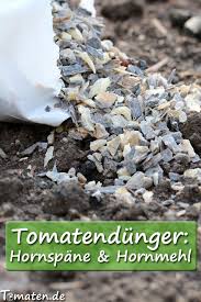 Tomaten Mit Hornspane Oder Hornmehl Dungen Tomaten Garten Tomaten Pflanzen Tomaten