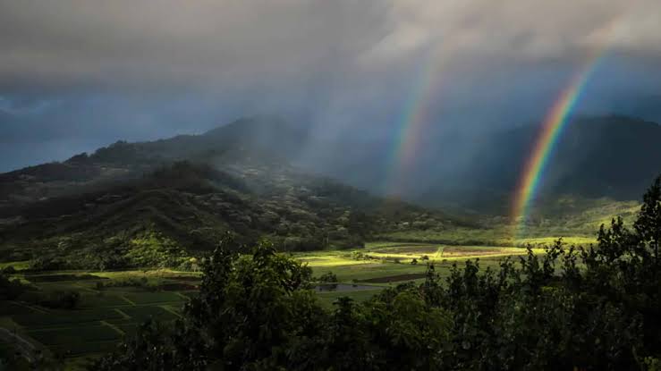 Embrace Rainy Days on Kauai With These Activities
