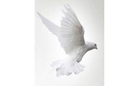 Frances Brantley Obituary and Online Memorial (2023)