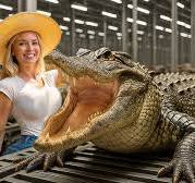 CÓMO se PROCESAN MILLONES de COCODRILOS por su CARNE y CUERO 🐊| El LADO  OSCURO del NEGOCIO