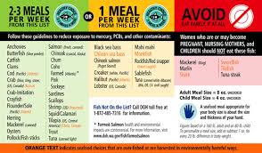 mercury in fish what should i eat the fisheries blog