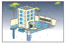 9th Class Science Notes In English Chapter 15 Improvement In Food Resources Pdfduniya In 2020 Science Notes Food Resources Science