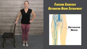 Image result for Obturator Nerve Compression
