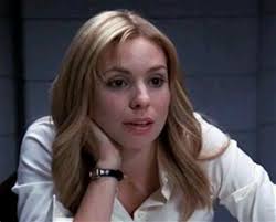 Law and Order: Criminal Intent -Fans Celebrating Goren and Eames