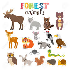 Conjunto De Animales Del Bosque Lindo. Bosque. Estilo De Dibujos ...